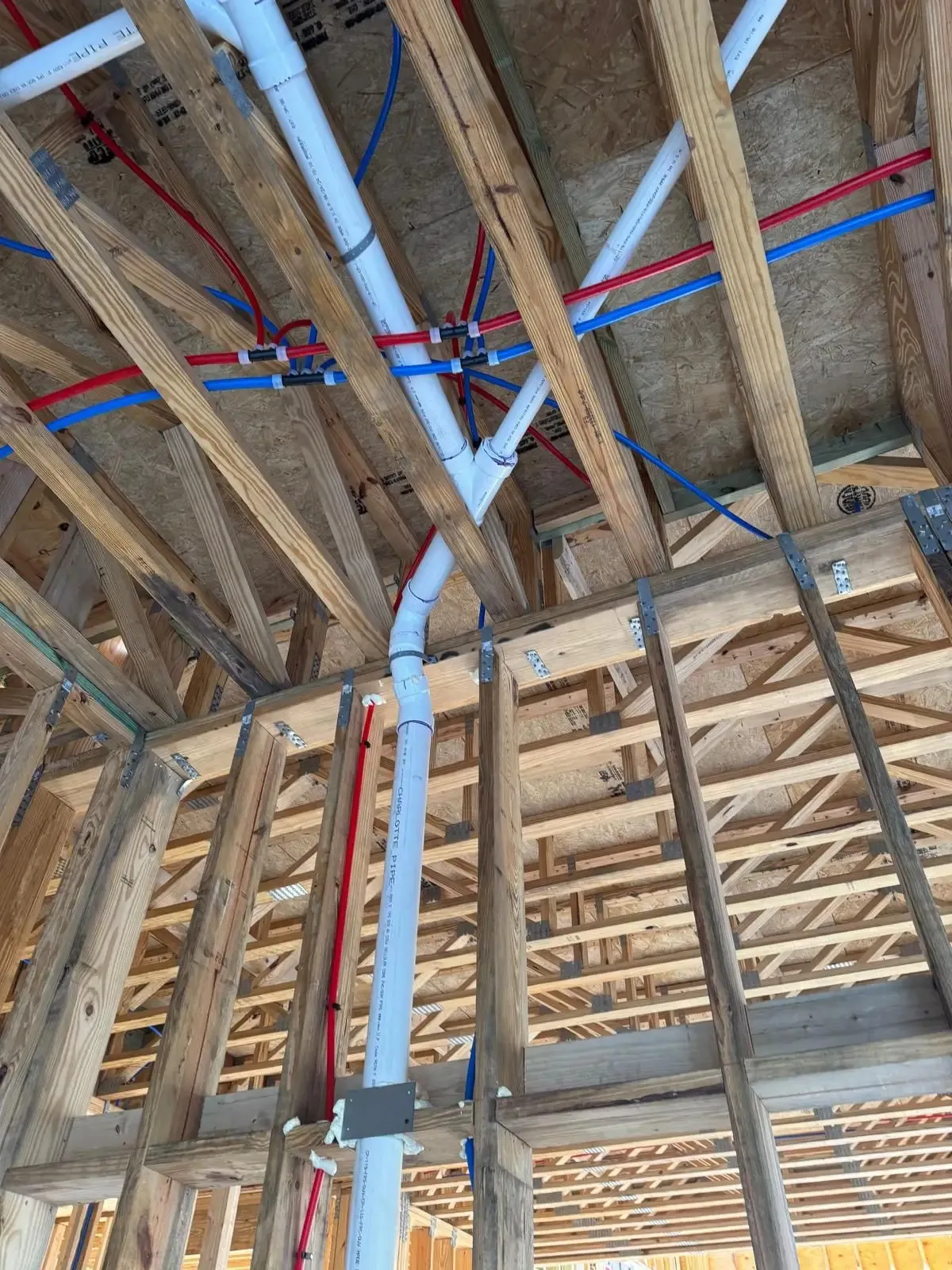 PVC drain stack and red and blue PEX water lines run through framing and trusses